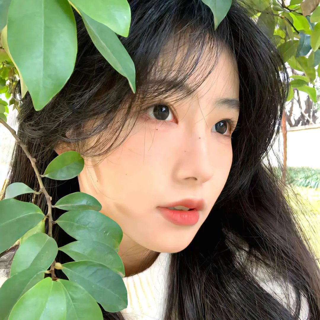 钢铁玫瑰