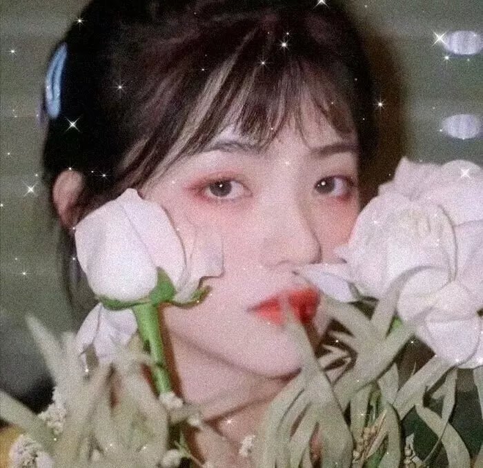 天蝎第二季
